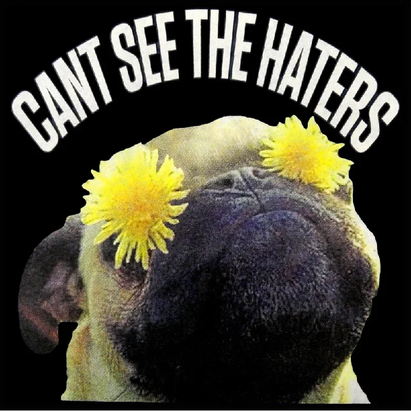 cant-see-the-haters-funny-pug-adult-hoodie